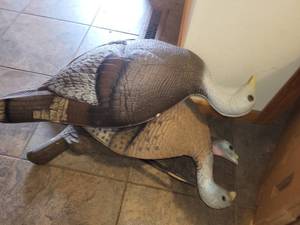 lot 148 image: Set of 3 Turkey Decoys for Hunting