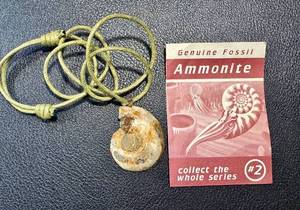 lot 30AC image: Genuine Ammonite Fossil Pendant Necklace with Cord