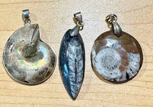 lot 45MA image: Set of 3 Ammonite and Orthoceras Fossil Pendants