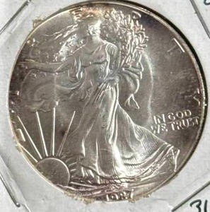 lot 45 image: 1987 1oz .999 Silver Eagle