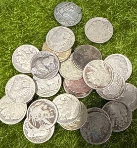 lot 18 image: Lot of 25 Buffalo Nickels