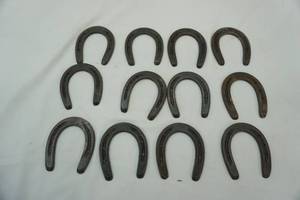 lot 256 image: Pony Horse Shoes (12ct)