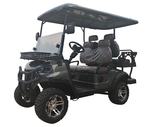 2025 SDLANCH 4-Person Golf Cart (SDLGC80)