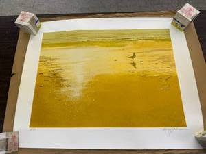 lot 85 image: The Seagull by Robert Schaar 138300