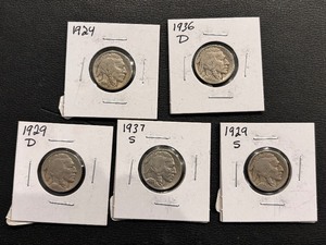 lot 180 image: Buffalo Nickels