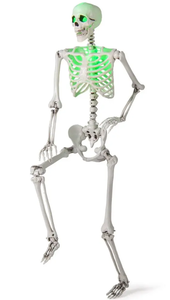 lot 362 image: Costway 5.5 FT Halloween Skeleton Life-Size Posable for Indoor Outdoor Decoration (Not Tested)