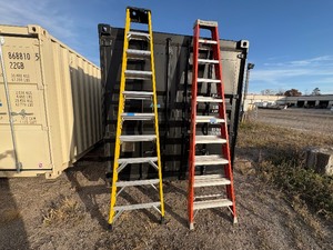 lot 193 image: Louisville 10 step ladder FS1510  Green Bull by Werner 10 step ladder 202210