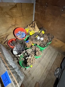 lot 176 image: (13 bins) Base plates. Double loop rebar steel wires, 6, 10, 20