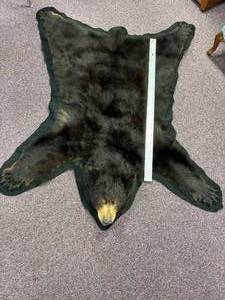 lot 58 image: 5-foot-long black bear pelt on felt