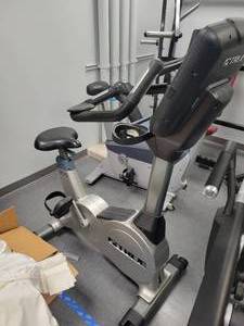 lot 11 image: True Upright Bike (590933)