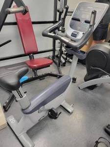 lot 12 image: Precor Upright Bike (590934)