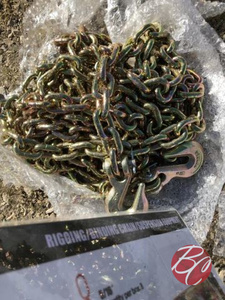 lot 101 image: Bundle 516 - X20 Chain 5400 lbs.