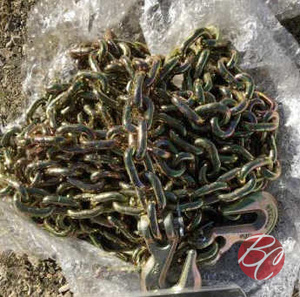 lot 113 image: Bundle 516 - X20 Chain 5400 lbs.