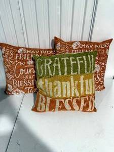 lot 24 image: Set of 3 Fall-Themed Decorative Pillows