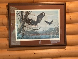 lot 180 image: Framed Limited Edition Bald Eagle Print by Gerald Coulson, Numbered and Signed