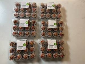 lot 59 image: CC. 6x 12ct Frozen Chocolate Mini Cupcakes-Best By 12232025