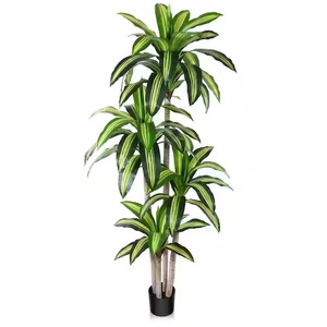 lot 18 image: 6 Foot Tall Artificial Dracaena Plant with Pot for Indoor Decor