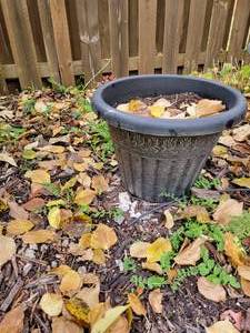 lot 265 image: Garland Band Resin Planter Pair