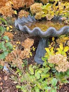 lot 250 image: Fabulous Scalloped Shell Concrete Birdbath