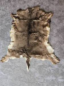 lot 125 image: Deer Hide