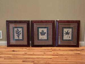 lot 216 image: Set of (3) Framed Botanical Leaf Art Prints  Matching Framed Trio