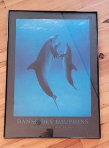 lot 53 image: Framed Art Print Danse des Dauphins by Photographer Bob Talbot.