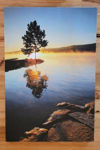 lot 52 image: Witness to the Dawn Canvas Print by Artist Steve Ainsworth  Medium