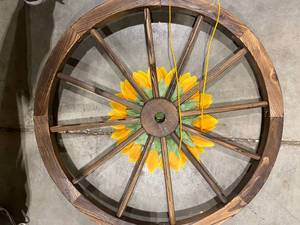 University of Minnesota Wagon Wheels (591215)