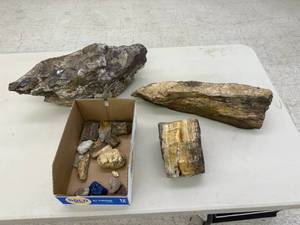 lot 55 image: Petrified Wood