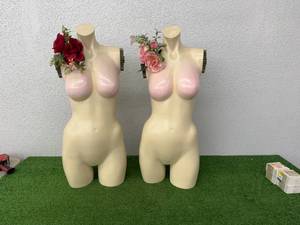lot 247 image: Mannequins