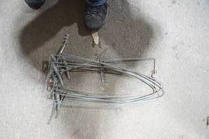 lot 138 image: Fur Stretchers