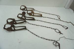 lot 211 image: Vintage Steel Animal Traps