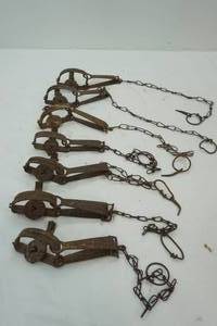 lot 212 image: Vintage Steel Animal Traps
