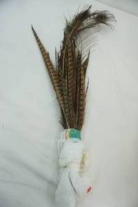 lot 309 image: Pheasant Feathers Peacock Feathers