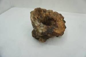 lot 329 image: wood burl decor