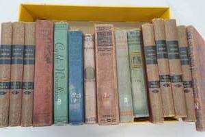 lot 509 image: Vintage Books & Vintage American Encyclopedia Volumes