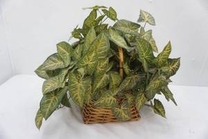 lot 668 image: Artificial Plant and Planter Basket (wicker)