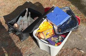 lot 0258 image: MYSTERY BOX - Book Box #42 - HALLOWEEN ITEMS