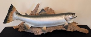 lot 294 image: LR - Large Mounted Salmon Fish Replica on Driftwood