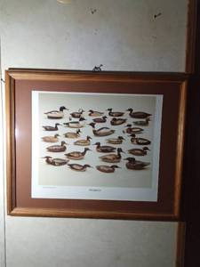 lot 57 image: 1980 Framed Merggansers print by James Bay Company
