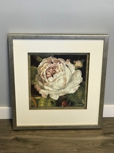 lot 386 image: Framed Picture of a White Rose by Kathryn White