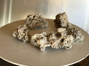 lot 440 image: 5 - Pieces of Coral