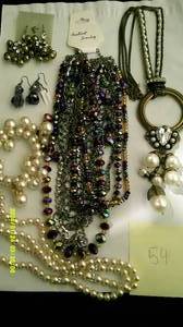 lot 54 image: 15 Assorted Necklaces New Fashion Jewelry Lot