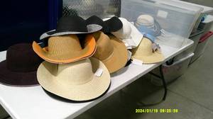 lot 100 image: Hat Lot #1 35 hats with tote. NWT.