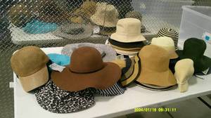 lot 101 image: Hat Tote #2,  37 Asst. Hats NWT With Tote