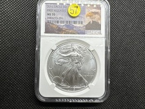 lot 57 image: 2015 1 Oz. Silver American Eagle NGC MS70 First Releases - Perfect Grade