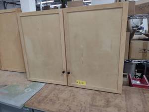lot 218 image: Two Door Cabinet, 48x36x12...