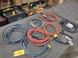 lot 231 image: Extension Cords...