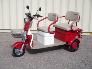 lot 39 image: SDLANCH 60v Mini Golf Cart