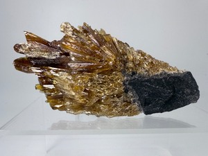 lot 66 image: Amber Calcite Spray.    UV Reactive and phosphorescent.  168 gm  6 oz.